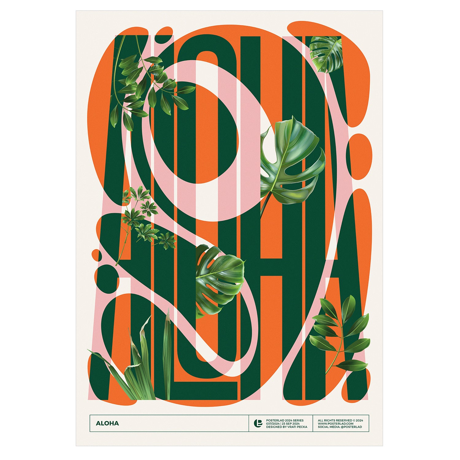Bold dark green ALOHA text with bright orange stripes and tropical leaf illustrations