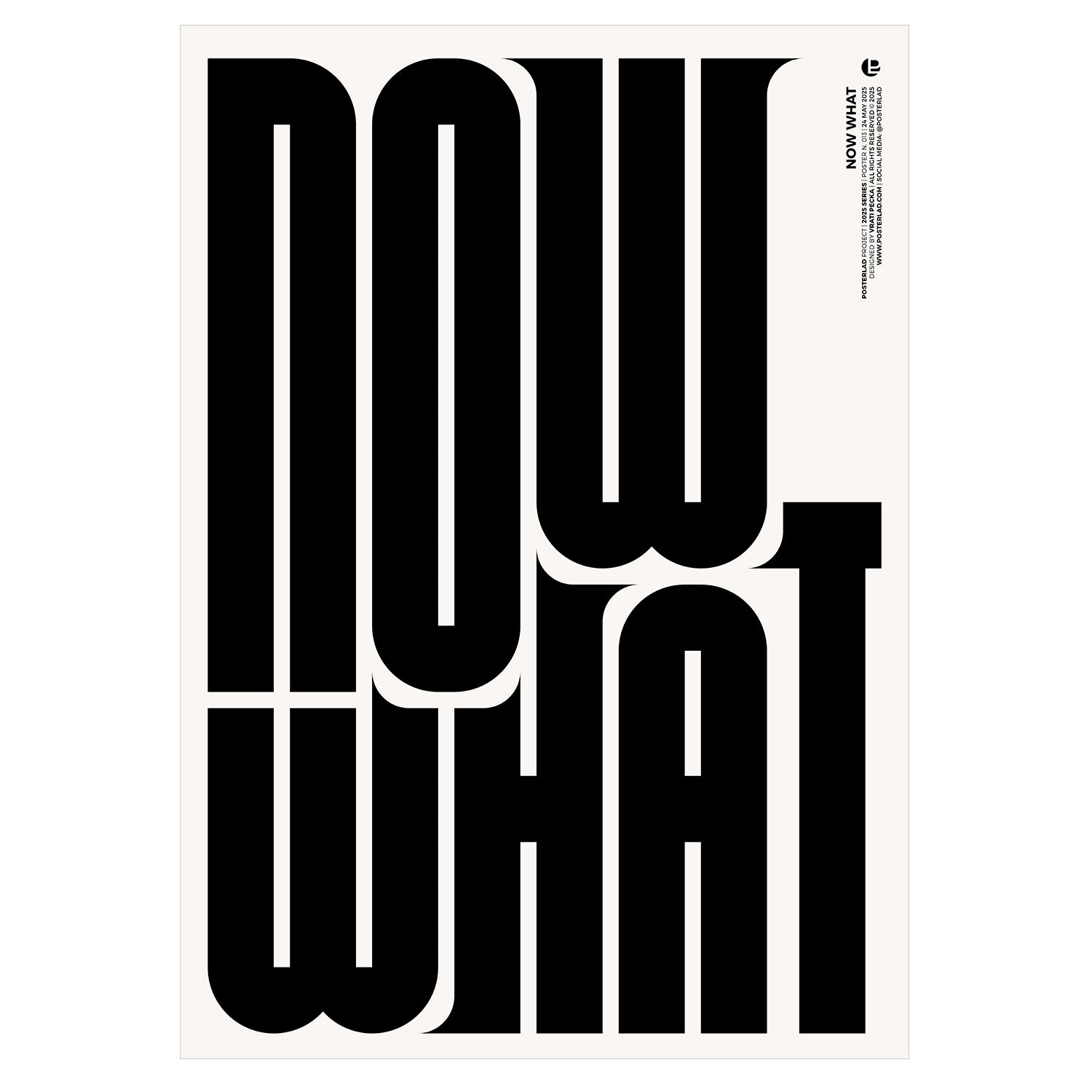 Museum-quality Now What poster printed on thick matte paper, perfect for decoration