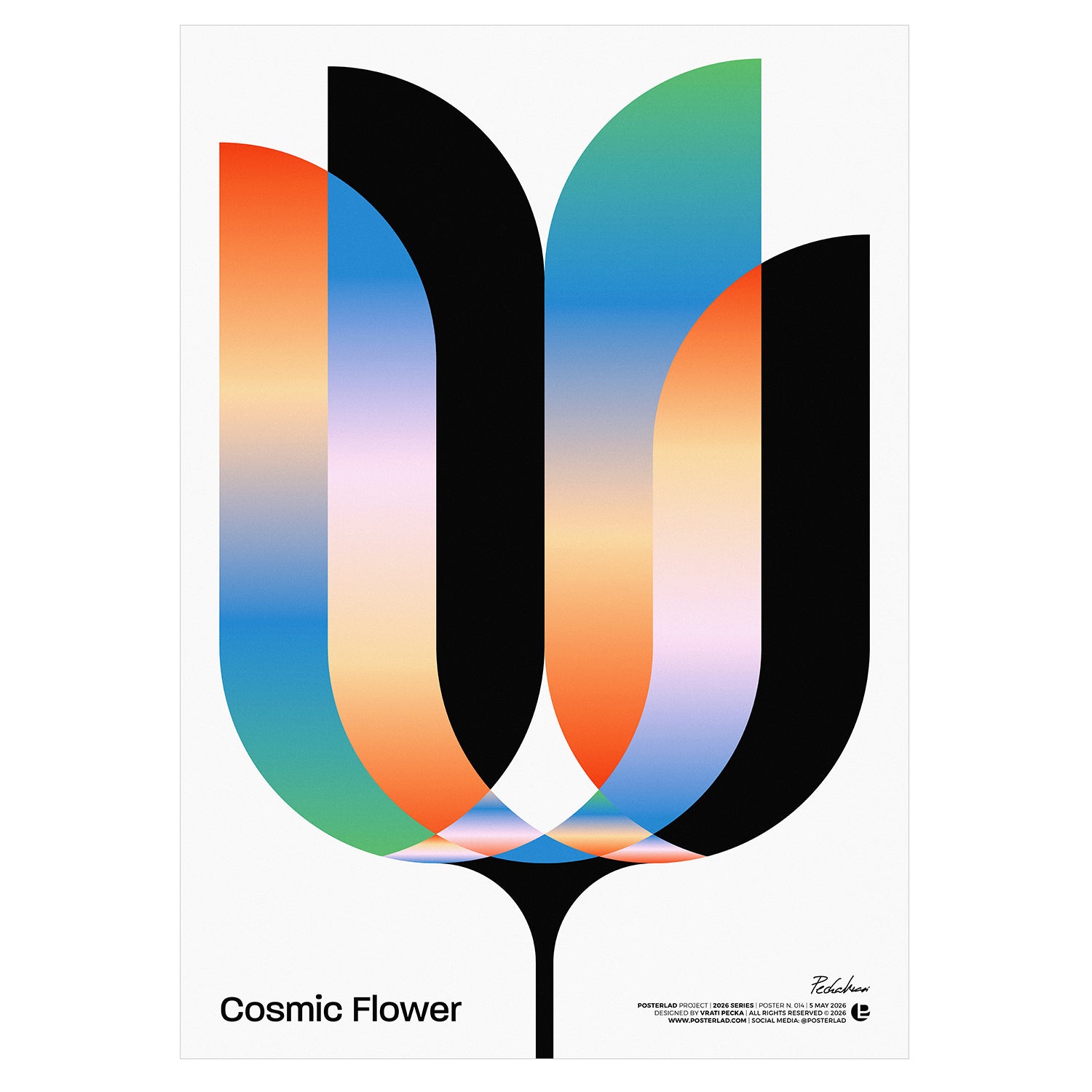 Cosmic Flower