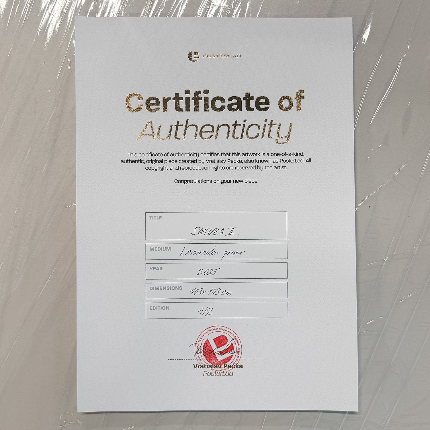 Satura II. (Edition of 2, 103x103 cm)