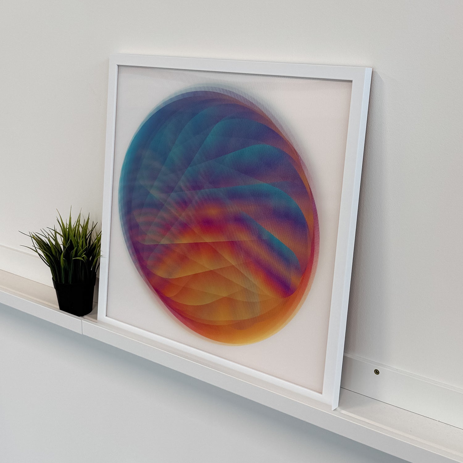 Venus (Edition of 10, 50x50cm)